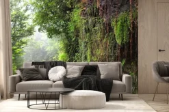 Fototapeta: 屋 久 島 ト ロ ッ コ 道