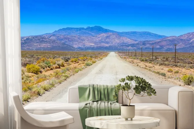 Fototapeta: A brud drogi w karoo działa obok ogrodzenia gospodarskich.