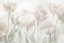 Fototapeta: Abstrakcja łąki z tulipanami