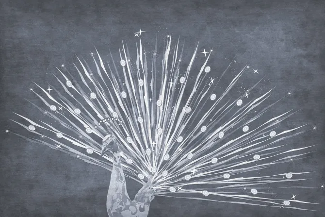 Fototapeta: Abstrakcyjny rysunek pawia