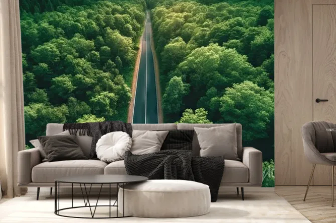 Fototapeta: Aerial top view of asphalt road through green forest, healthy