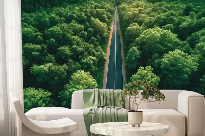 Fototapeta: Aerial top view of asphalt road through green forest, healthy