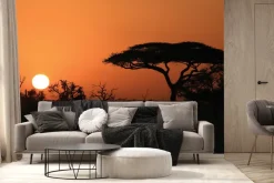 Fototapeta: Afrykańska roślinność o zachodzie