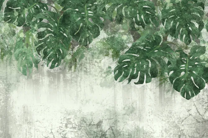 Fototapeta: Akwarelowe liście monstery na starej betonowej ścianie grunge