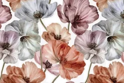 Fototapeta: Akwarelowe maki na białym tle