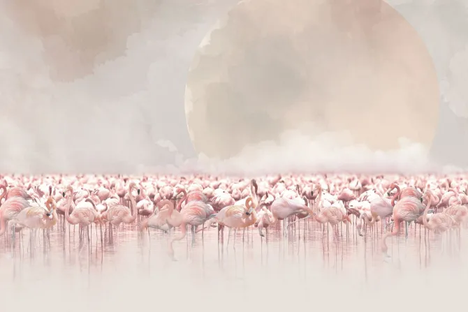 Fototapeta: Akwarelowy pejzaż z flamingami w wodzie i księżycem