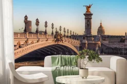 Fototapeta: Alexandre iii bridge in paris at sunset