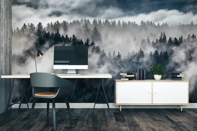 Fototapeta: Alpejski las jodłowy we mgle