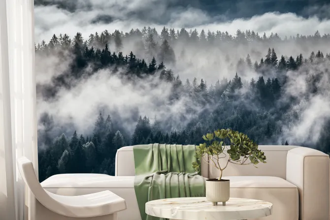 Fototapeta: Alpejski las jodłowy we mgle