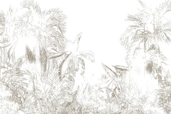 Fototapeta: Artystyczny krajobraz tropikalnej dżungli