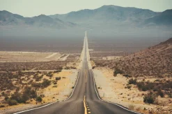 Fototapeta: Asfaltowa droga wśród pustynnej roślinności