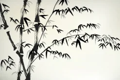 Fototapeta: Bambus pędy na jasnym tle