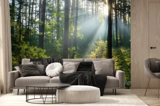 Fototapeta: Beautiful sunny morning in green forest