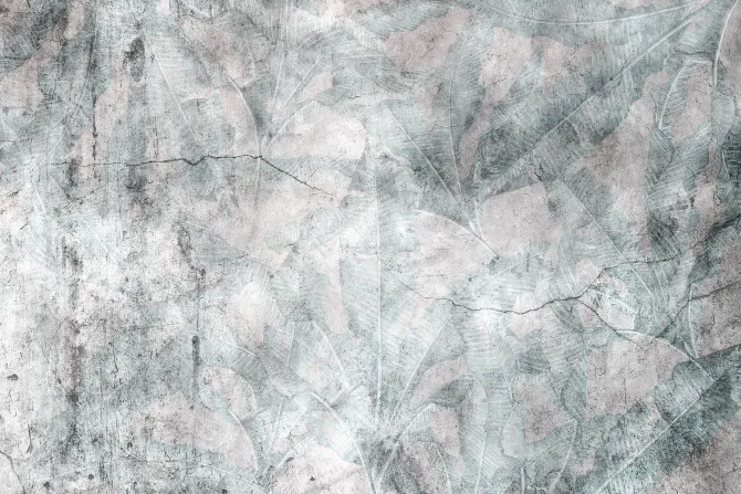 Fototapeta: Betonowa ściana z roślinnym motywem