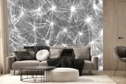 Fototapeta: Białe dmuchawce na szarym tle