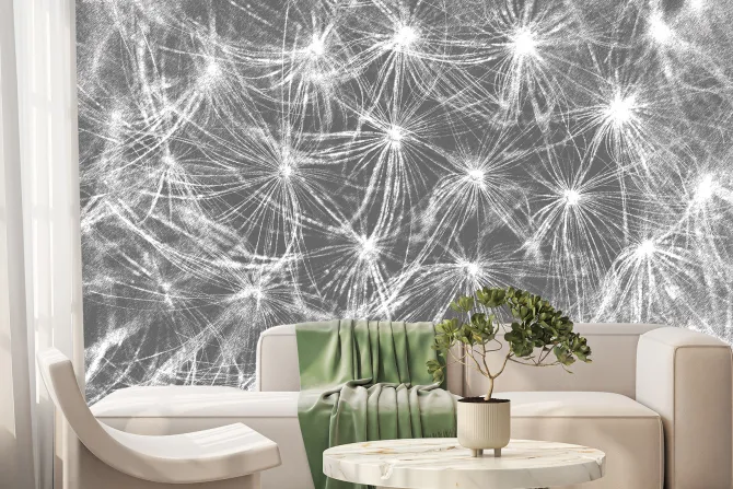 Fototapeta: Białe dmuchawce na szarym tle