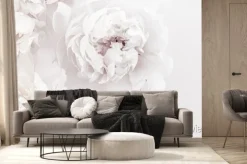 Fototapeta: Białe kwiaty piwonii na białym tle