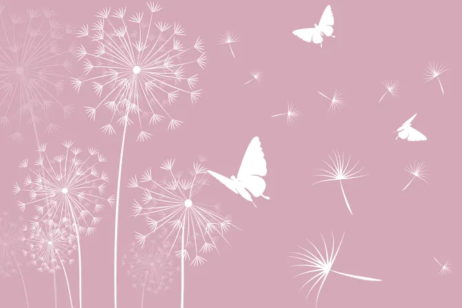 Fototapeta: Białe motyle i dmuchawce z nasionami na wietrze minimalistyczny