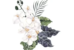 Fototapeta: Białe orchidee wśród liści