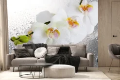 Fototapeta: Białe storczyki wśród kropli