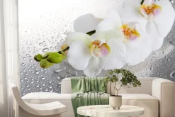 Fototapeta: Białe storczyki wśród kropli
