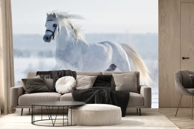 Fototapeta: Biały koń galopuje w polu w zimie