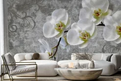 Fototapeta: Biały kwiat storczyk na betonie