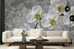 Fototapeta: Biały kwiat storczyk na betonie