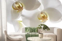 Fototapeta: Biały kwiat storczyka na jasnym tle