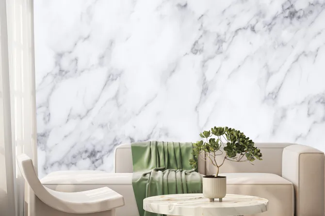 Fototapeta: Biały marmur z ciemnymi żyłkami