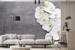 Fototapeta: Biały storczyk na szarym betonie