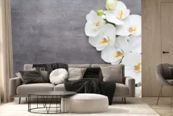 Fototapeta: Biały storczyk na szarym betonie