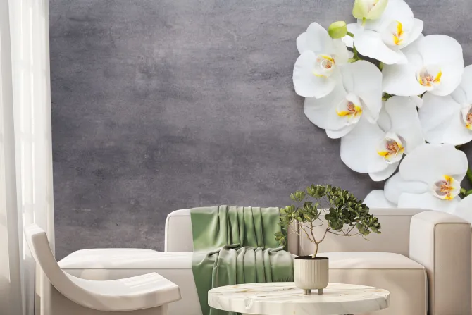Fototapeta: Biały storczyk na szarym betonie