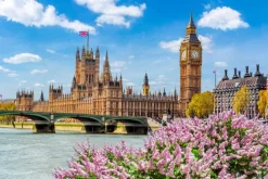 Fototapeta: Big ben i budynek parlamentu w londynie wiosną