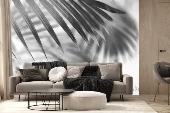Fototapeta: Black tropical palm leaf with shadow on white wall