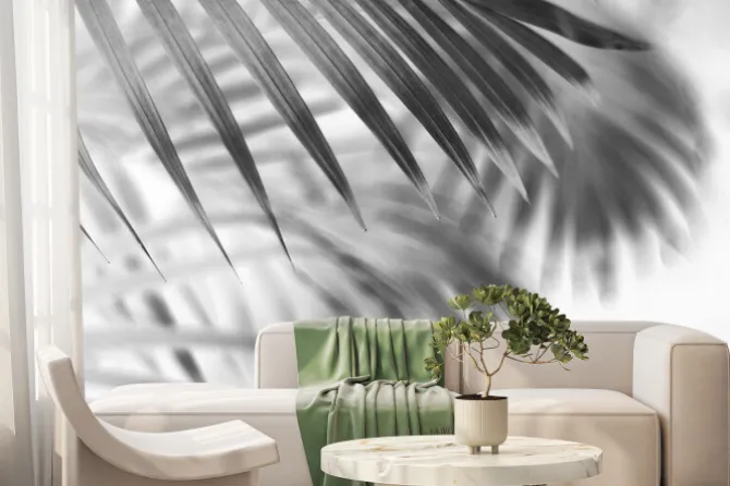 Fototapeta: Black tropical palm leaf with shadow on white wall