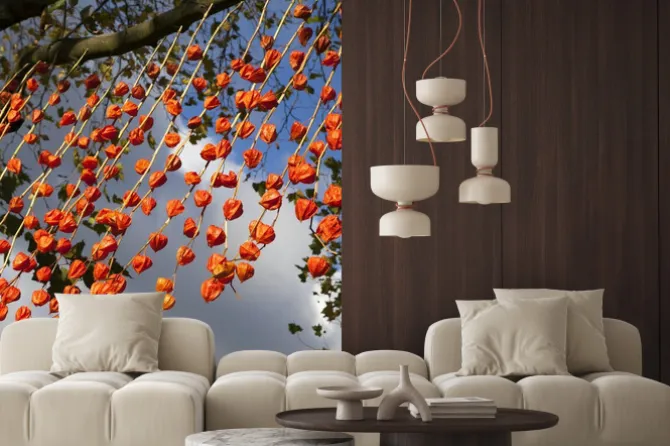 Fototapeta: Bliska streszczenie physalis w little india diwali festiwalu