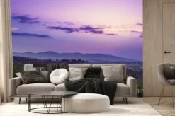 Fototapeta: Blooming lavender field at sunset in tuscany