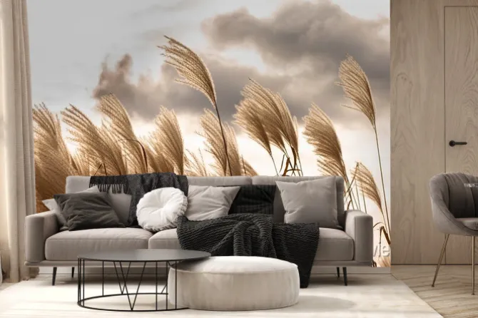 Fototapeta: Boho trawa pampasowa falująca na wietrze