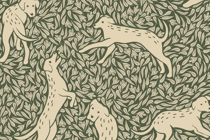 Fototapeta: Botaniczny wzór z psami z zielenią