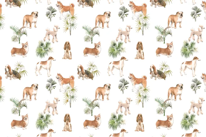 Fototapeta: Brązowe psy z krzewami na białym tle