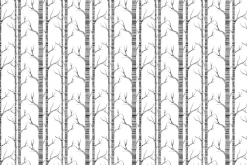 Fototapeta: Brzozy minimalistyczny deseń inspirowany naturą