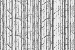 Fototapeta: Brzozy w minimalistycznym krajobrazie