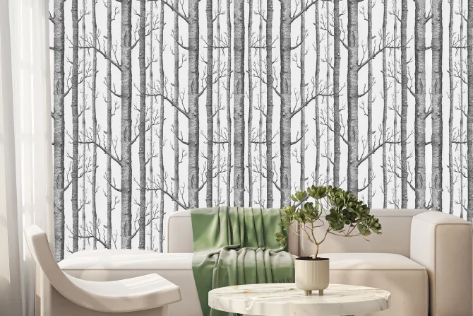 Fototapeta: Brzozy w minimalistycznym krajobrazie