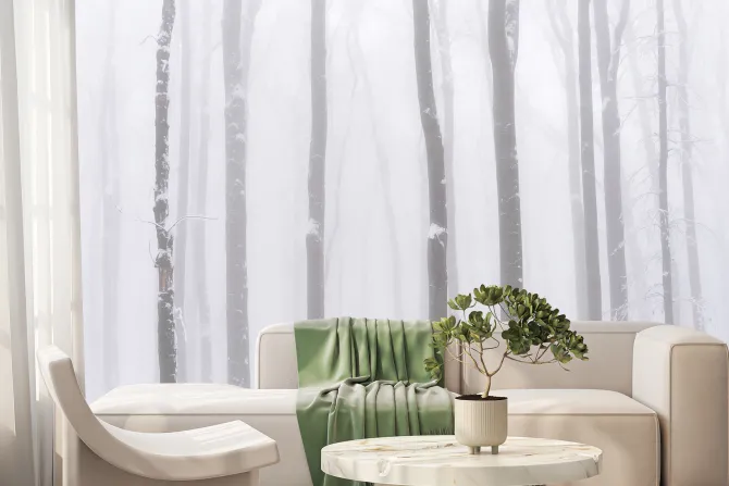 Fototapeta: Brzozy we mgle zimowy krajobraz