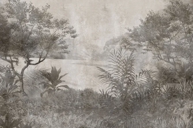 Fototapeta: Bujna leśna roślinność w szarości