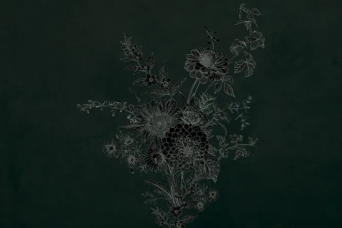 Fototapeta: Bukiet polnych dzikich kwiatów