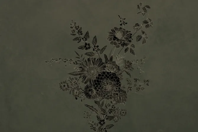 Fototapeta: Bukiet polnych dzikich kwiatów