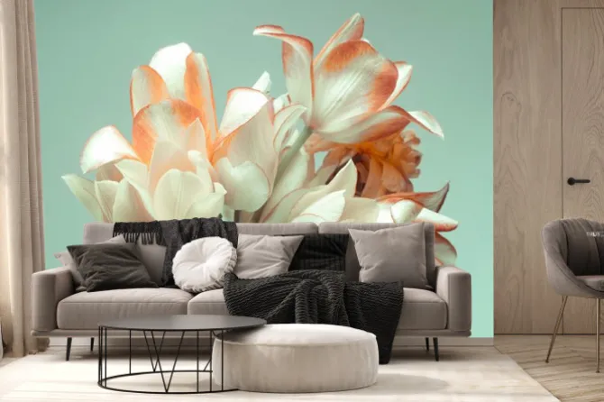 Fototapeta: Bukiet tulipanów