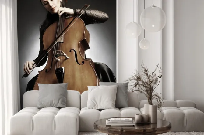 Fototapeta: Cello player wiolonczelista odtwarzanie